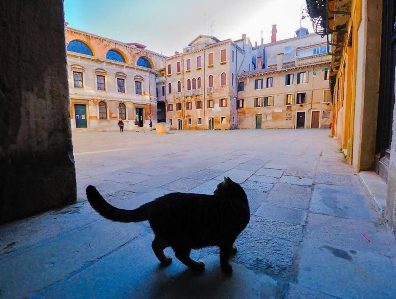 Ca Rialto Apartment Venezia Eksteriør bilde
